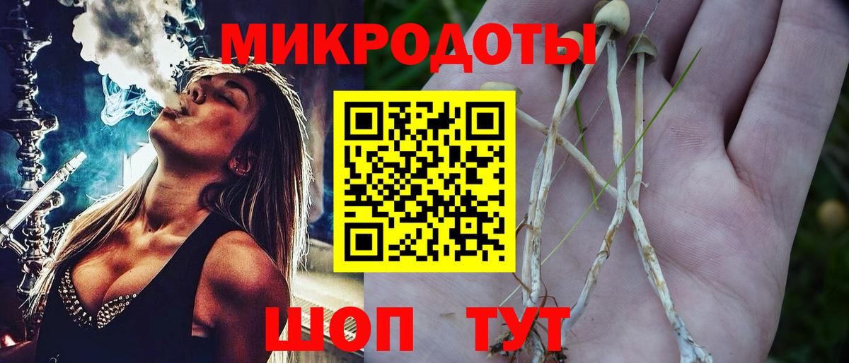 Вышний Волочёк  Галлюциногенные грибы Psilocybe  Вход с VPN 