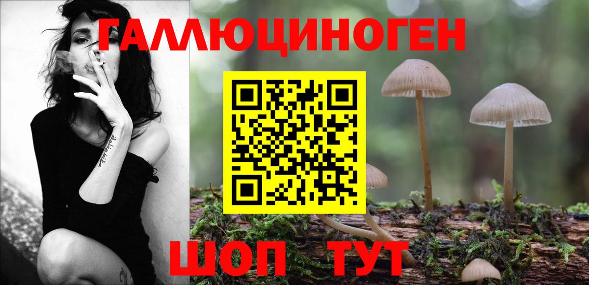 Псилоцибиновые грибы Cubensis Вышний Волочёк